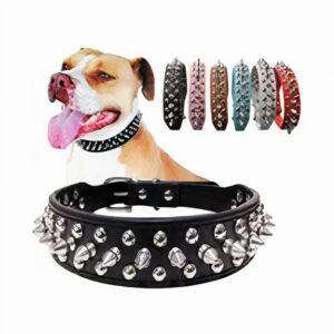 Adjustable Studded Pet Dog